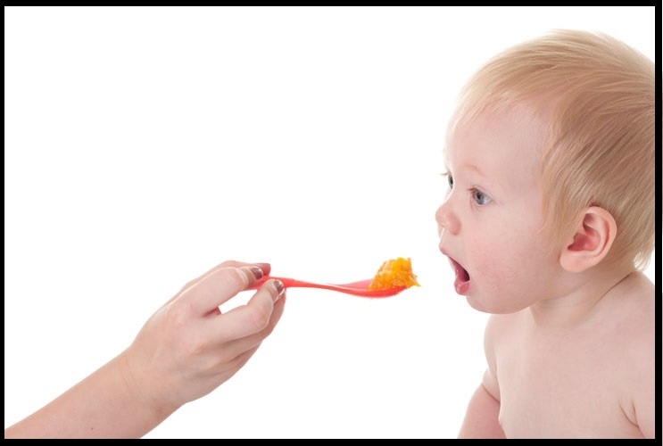 https://www.ellynsatterinstitute.org/wp-content/uploads/2018/12/baby_willingly_eating_from_spoon_-5oopx_with_outline_4.jpg